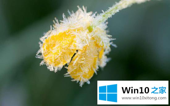 Windows Store推出Win10新主题