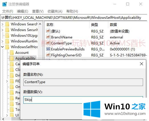 启动Win10 19H1 Skip Ahead跳跃预览通道