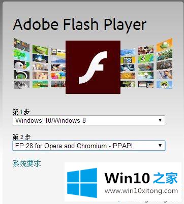 win10系统中网页中无法播放视频怎么办