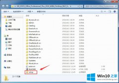 老鸟解答Windows10系统Office2010安装及卸载方法的解决法子