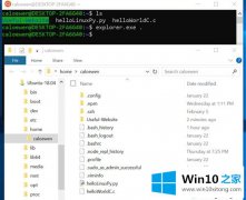 大神教您Win10 1903系统怎么通过文件资源管理器访问Linux文件的操作教程