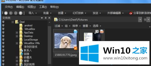 win10系统ACDSee绘图工具如何使用的完全解决要领