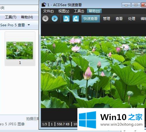 win10系统用ACDSee看图软件快速浏览管理图片文件夹的解决步骤