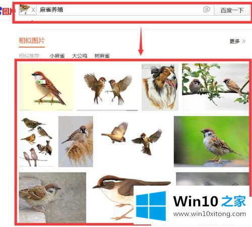 Win10系统怎么使用百度图片搜索功能的图文方法