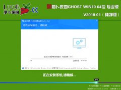 萝卜家园Ghost win10 2004专业版 64位系统下载 V2020.12