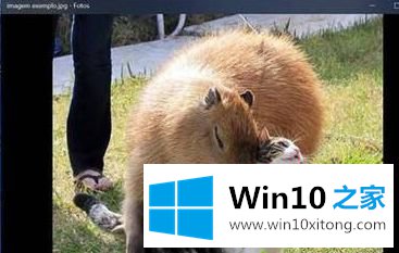 win10的详尽处理办法